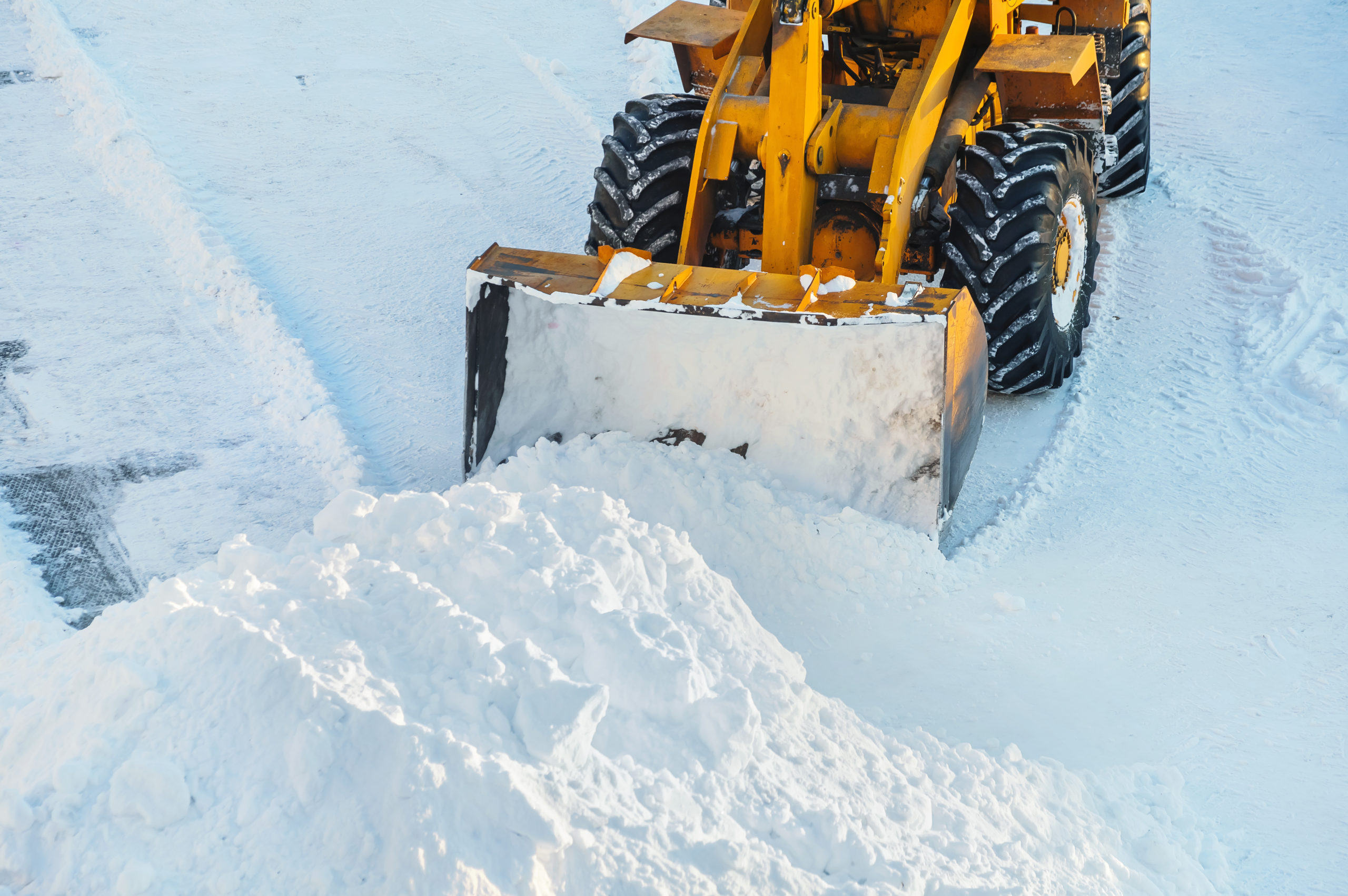 Трактор чистит снег. JCB убирает снег. Желтый трактор для чистки снега. Расчистка снега трактором иллюстрация. Снегоуборочный КАМАЗ.